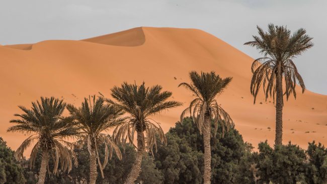 pol_tarres_projects_morocco_2019-35