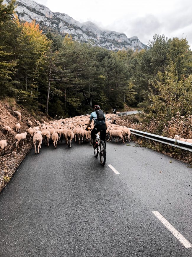 pol_tarres_blog_600km_in_6_days-36