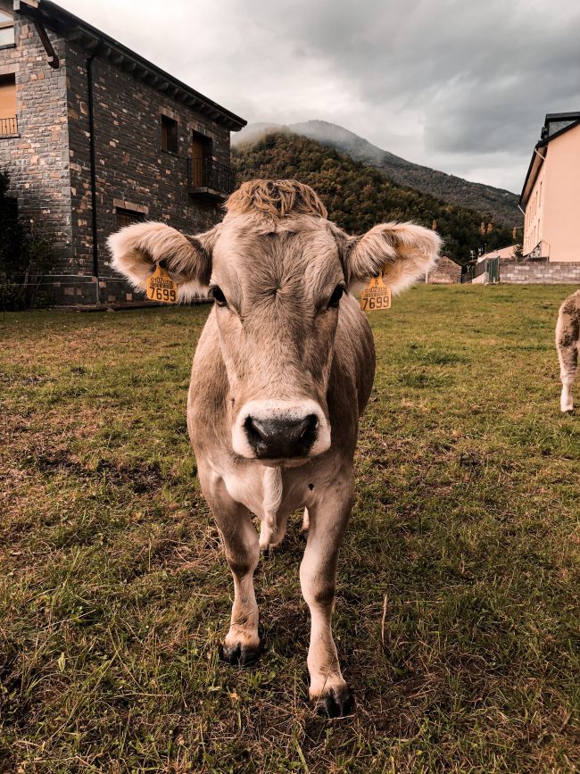 pol_tarres_blog_600km_in_6_days-43