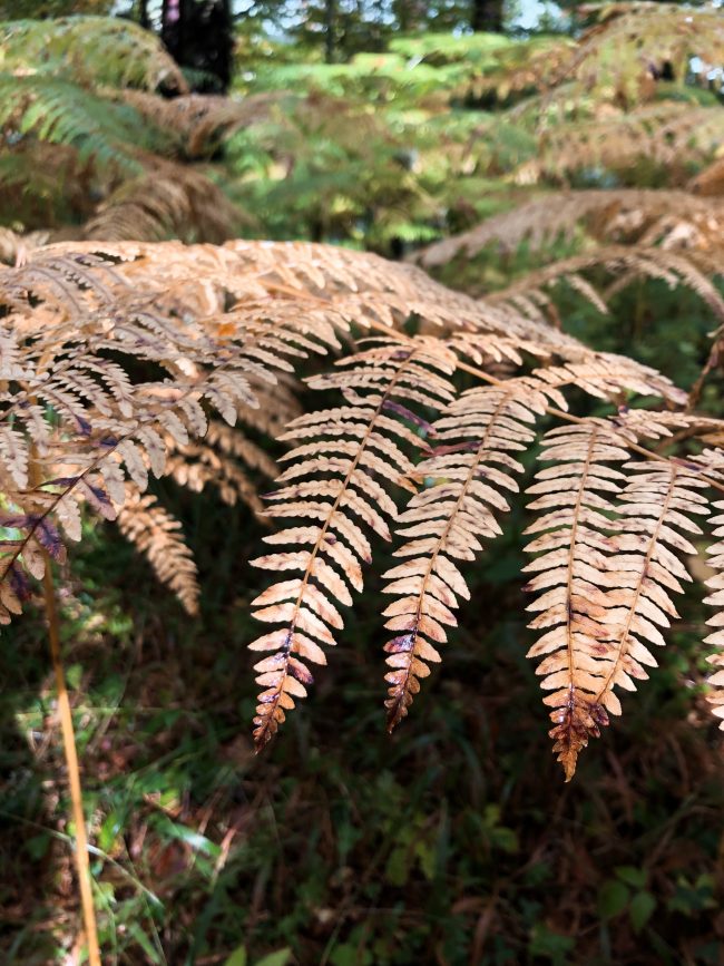 pol_tarres_blog_600km_in_6_days-58