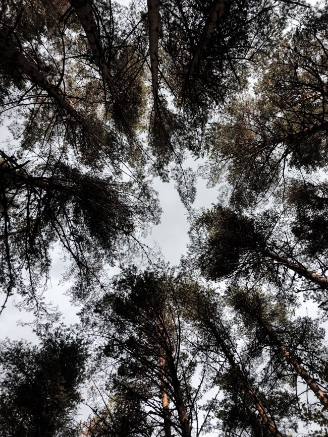 pol_tarres_blog_600km_in_6_days-59