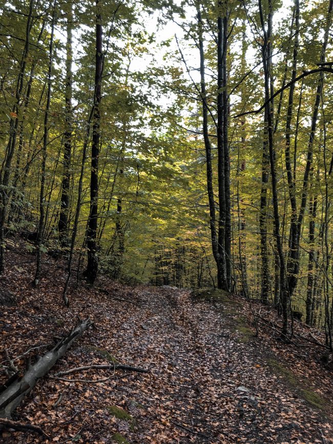 pol_tarres_blog_600km_in_6_days-61