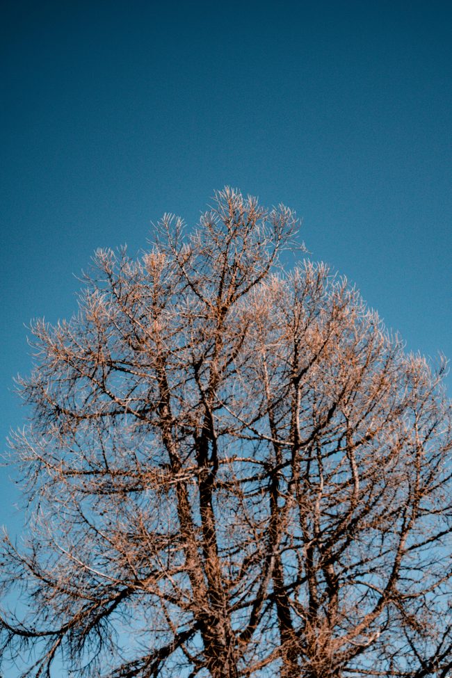 pol_tarres_blog_chamonix_45