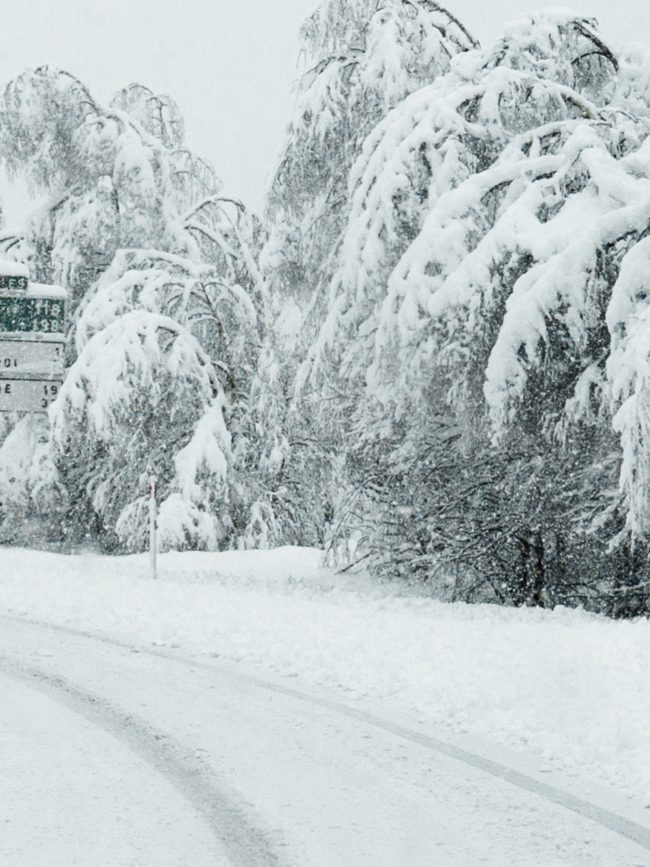 pol_tarres_blog_gloria-072