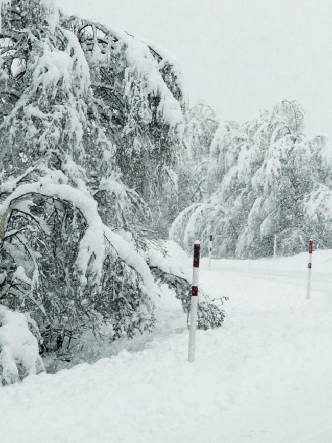 pol_tarres_blog_gloria-073