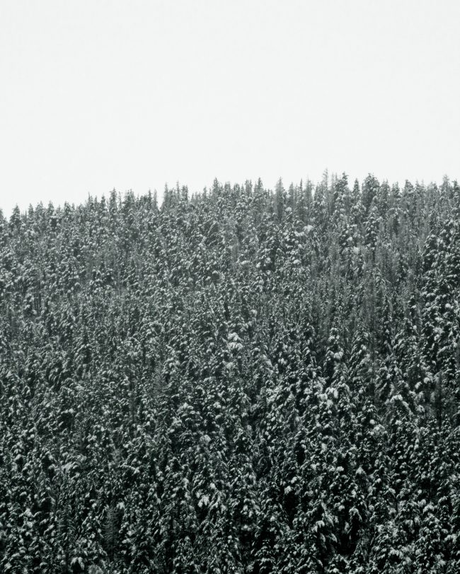 pol_tarres_blog_gloria-08