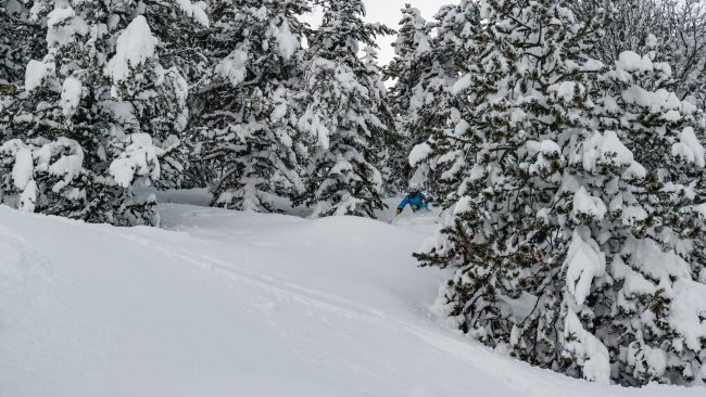 pol_tarres_blog_gloria-34