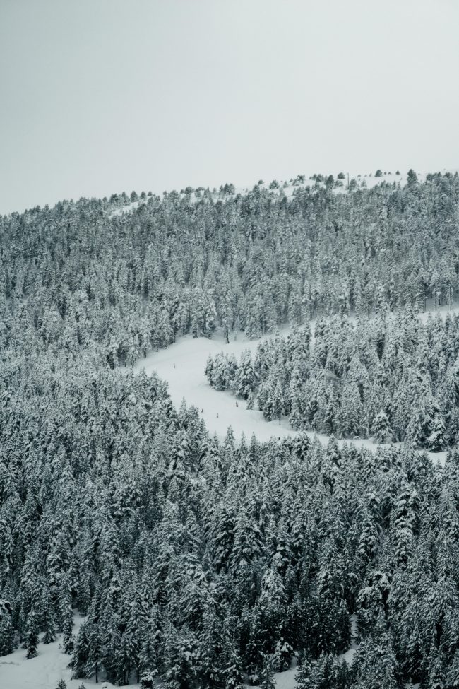 pol_tarres_blog_gloria-36