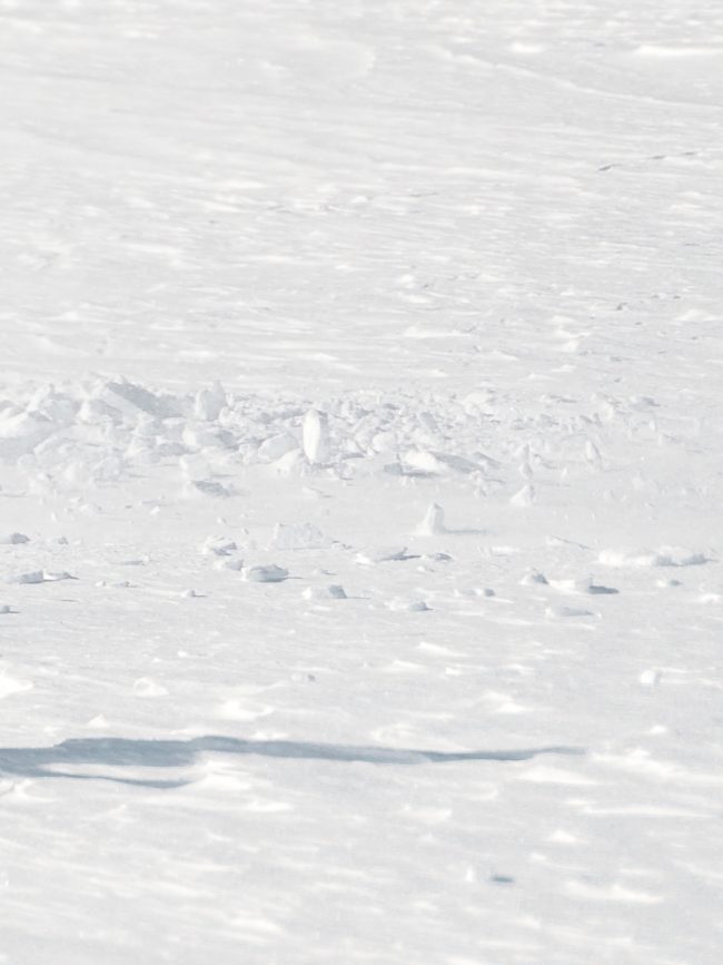 pol_tarres_blog_gloria-82