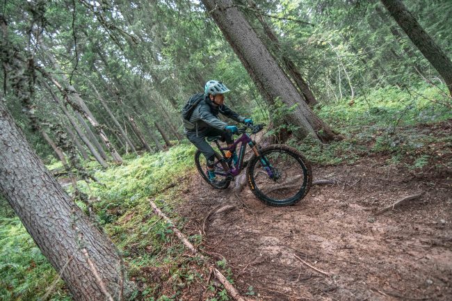 pol_tarres_projects_alps_2018_15