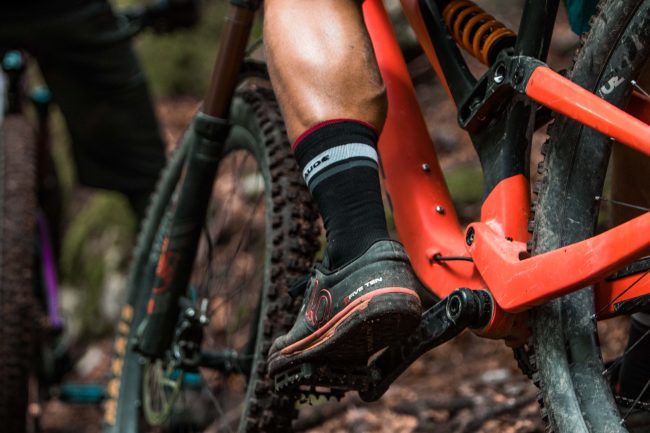 pol_tarres_projects_alps_2018_19