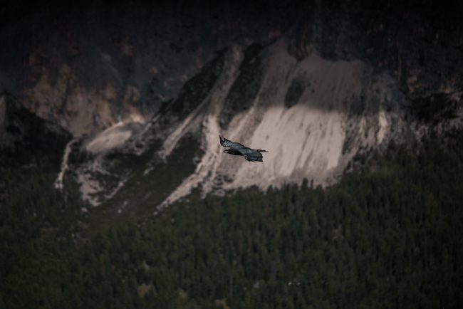 pol_tarres_projects_dolomites_2019_139