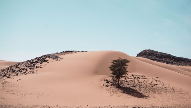 twodudesco_adventures_uniraid-25