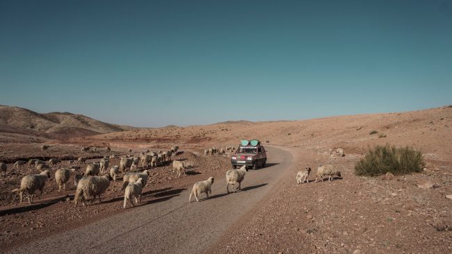 twodudesco_adventures_uniraid-66