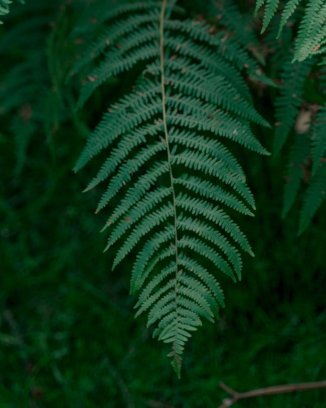 pol_tarres_BLOG_summer_enduro-07