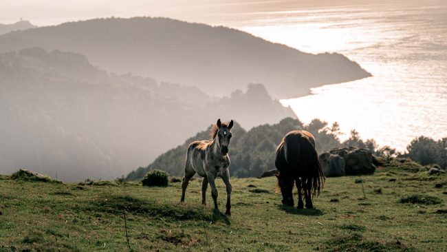 pol_tarres_BLOG_summer_enduro-54