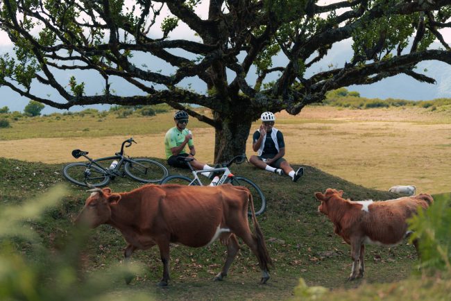 pol_tarres_projects_madeira-59