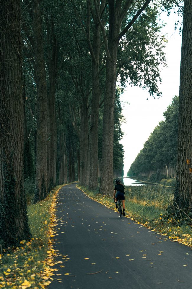 pol_tarres_projects_flanders_day2_17