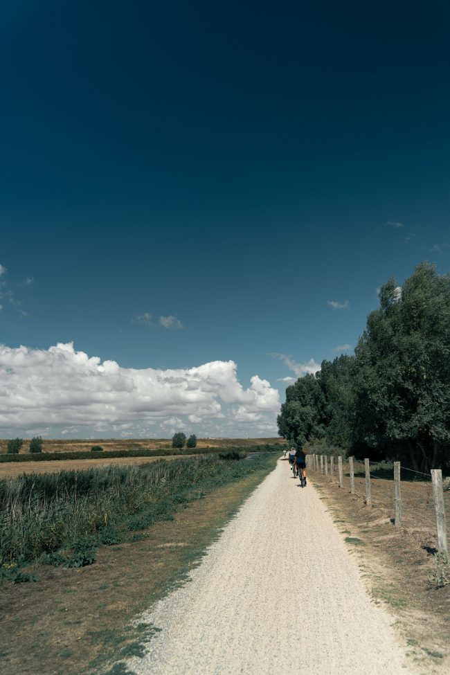 pol_tarres_projects_flanders_day2_21