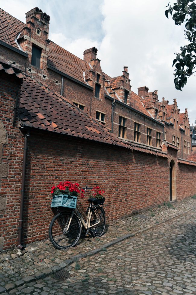 pol_tarres_projects_flanders_day3_22