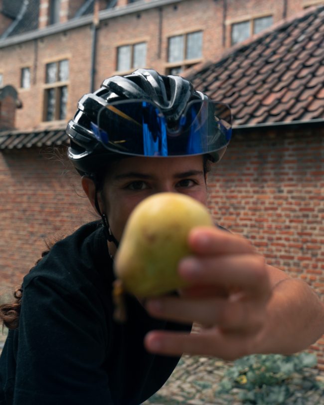 pol_tarres_projects_flanders_day3_24