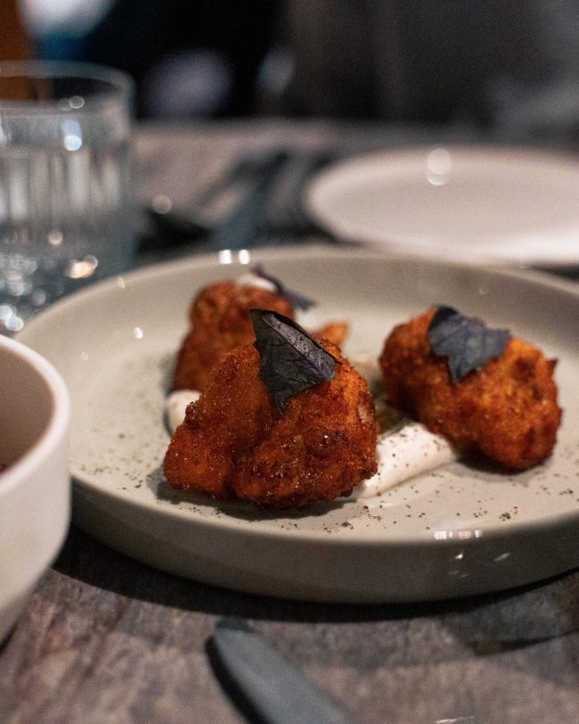 pol_tarres_projects_flanders_day3_3