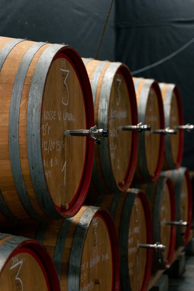 pol_tarres_projects_flanders_day4_2