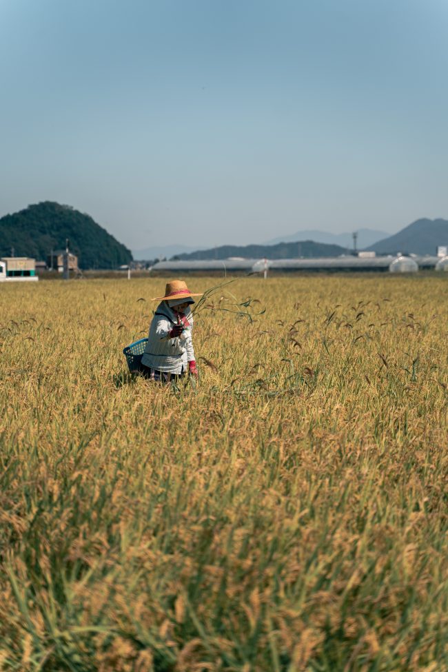 pol_tarres_adventures_bikepacking_japan_day_4_14