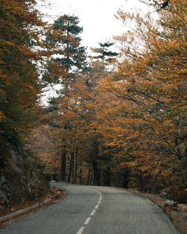 pol_tarres_adventures_corsica_66