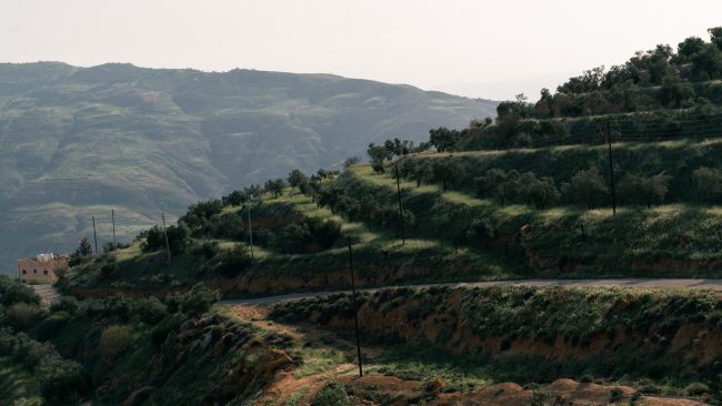 ApperStudio_Jordan_landscapes_2023_12