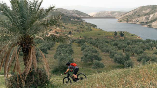 ApperStudio_Jordan_landscapes_2023_7