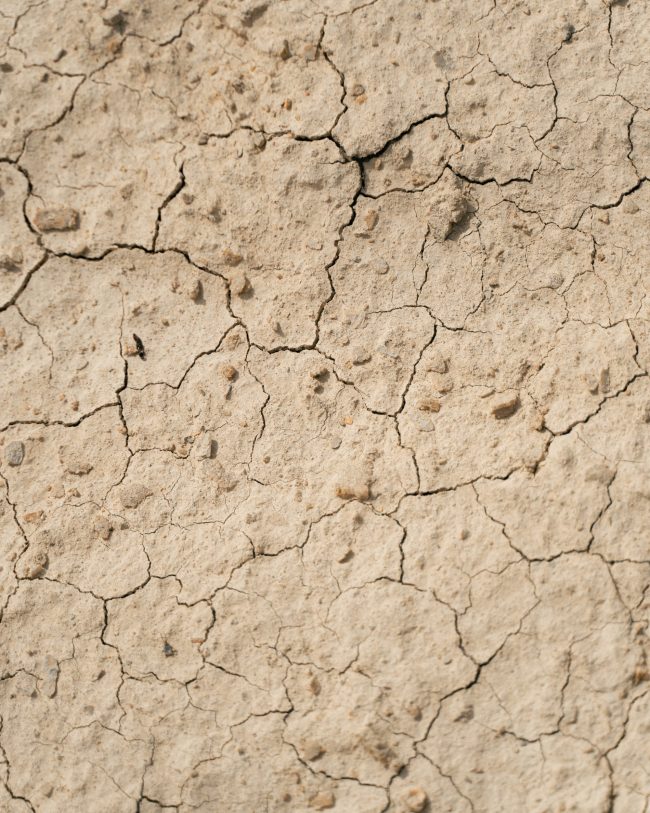 ApperStudio_Jordan_riding_2023_22