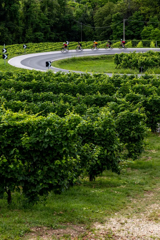 POL_TARRES_BLOG_PINARELLO_AMBASSADOR_SUMMIT-31