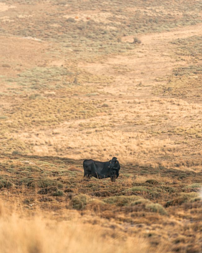 pol_tarres_Badlands_2023_13