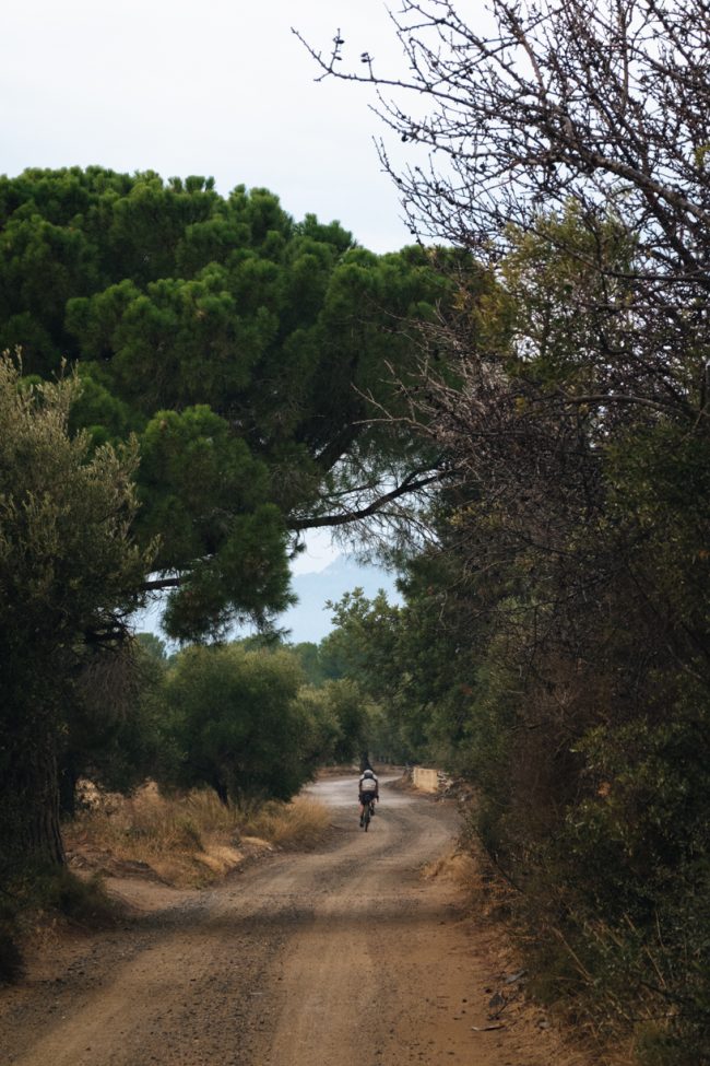 Pol_Tarres_Benidorm_CX_WC_2024_10