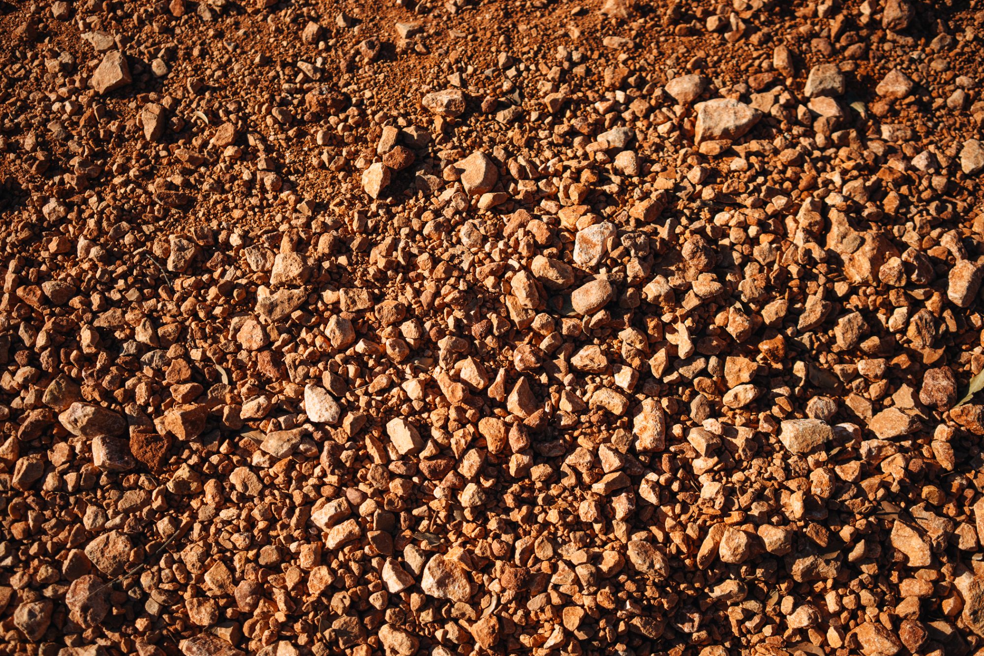 ApperStudio_the_first_of_2025_27