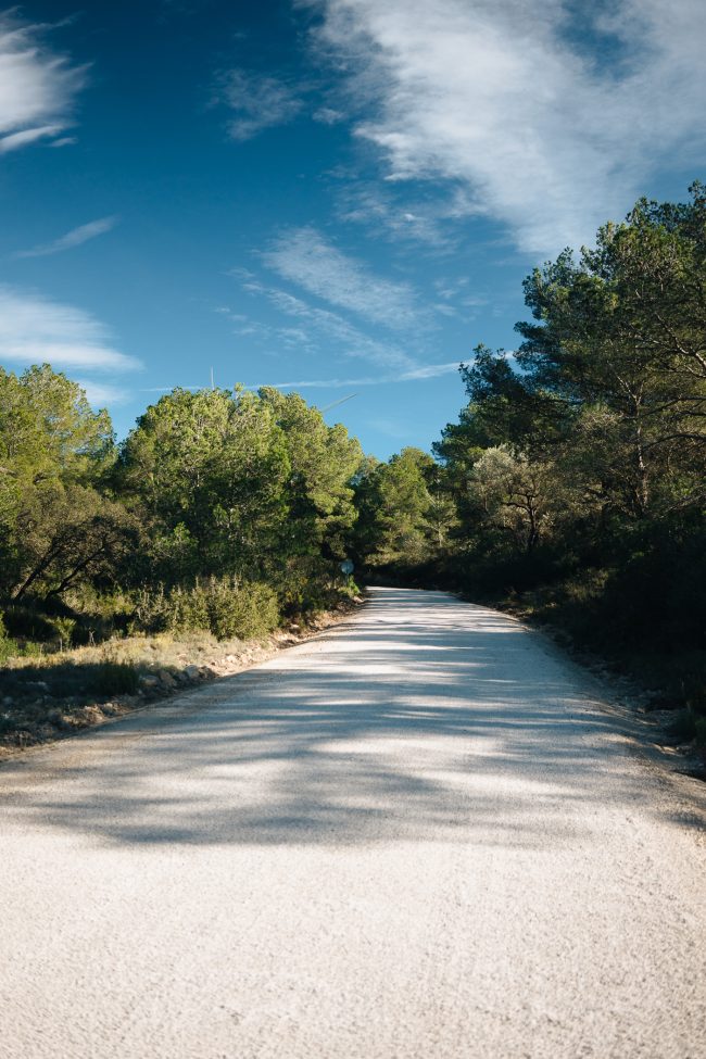 ApperStudio_the_first_of_2025_3