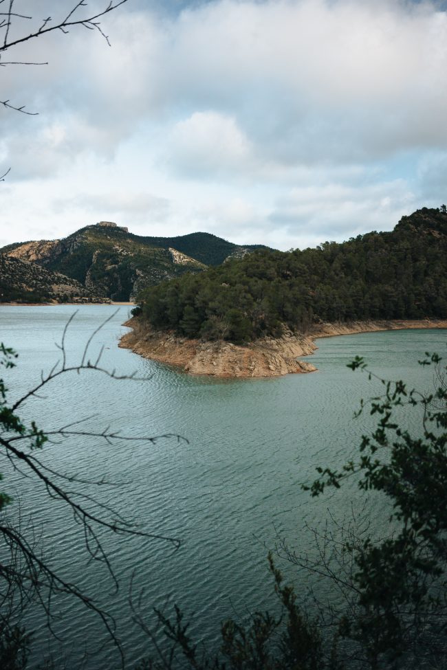 ApperStudio_the_first_of_2025_47