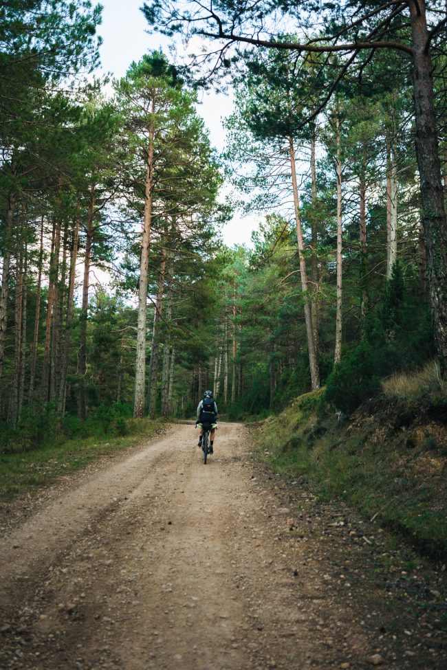 the first of 2025: sun, wind & unexpected magic ✨