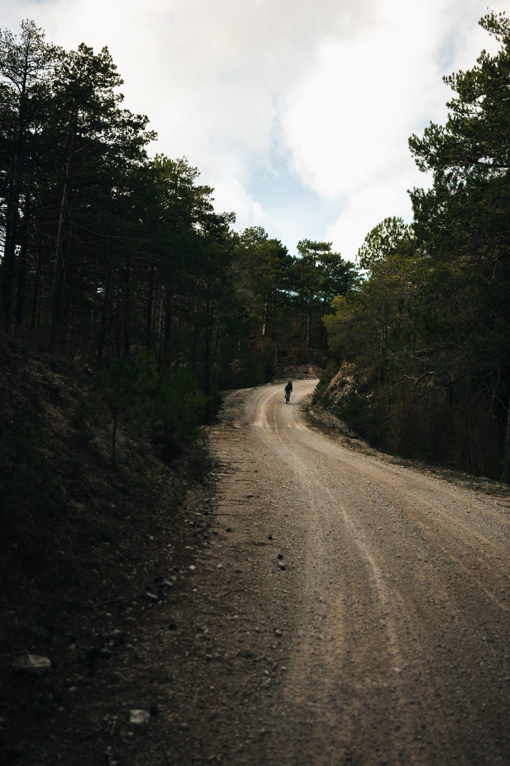 ApperStudio_the_first_of_2025_62