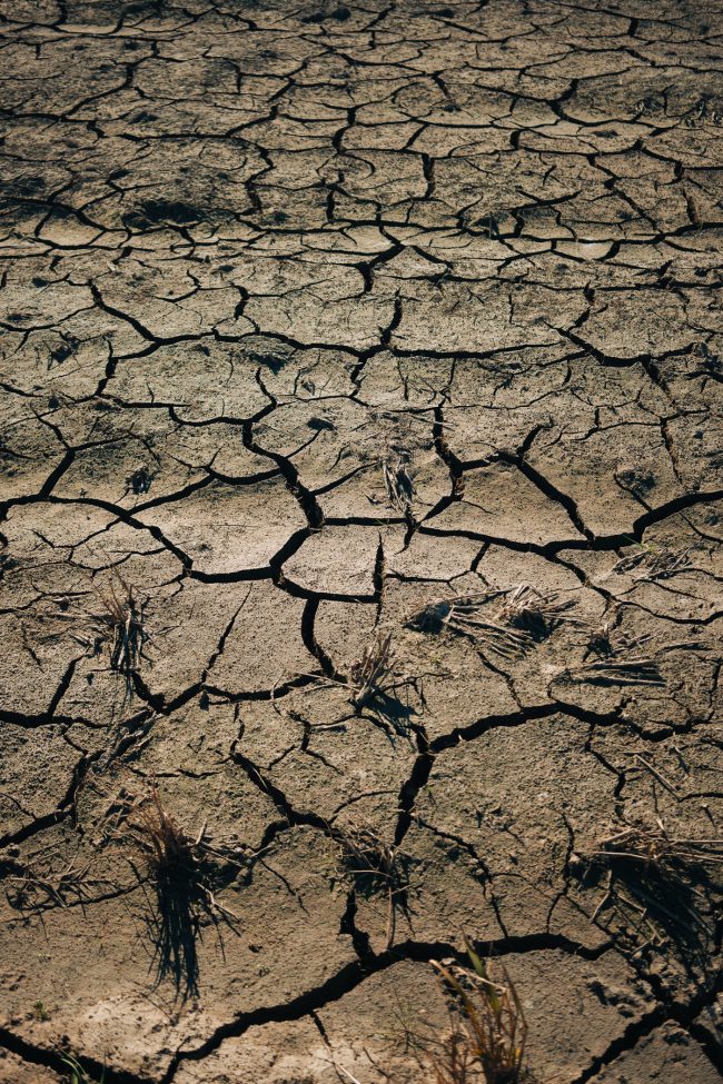 ApperStudio_the_first_of_2025_67