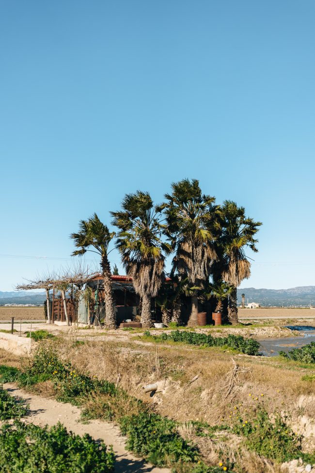 ApperStudio_the_first_of_2025_68