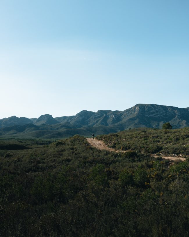 ApperStudio_the_first_of_2025_7