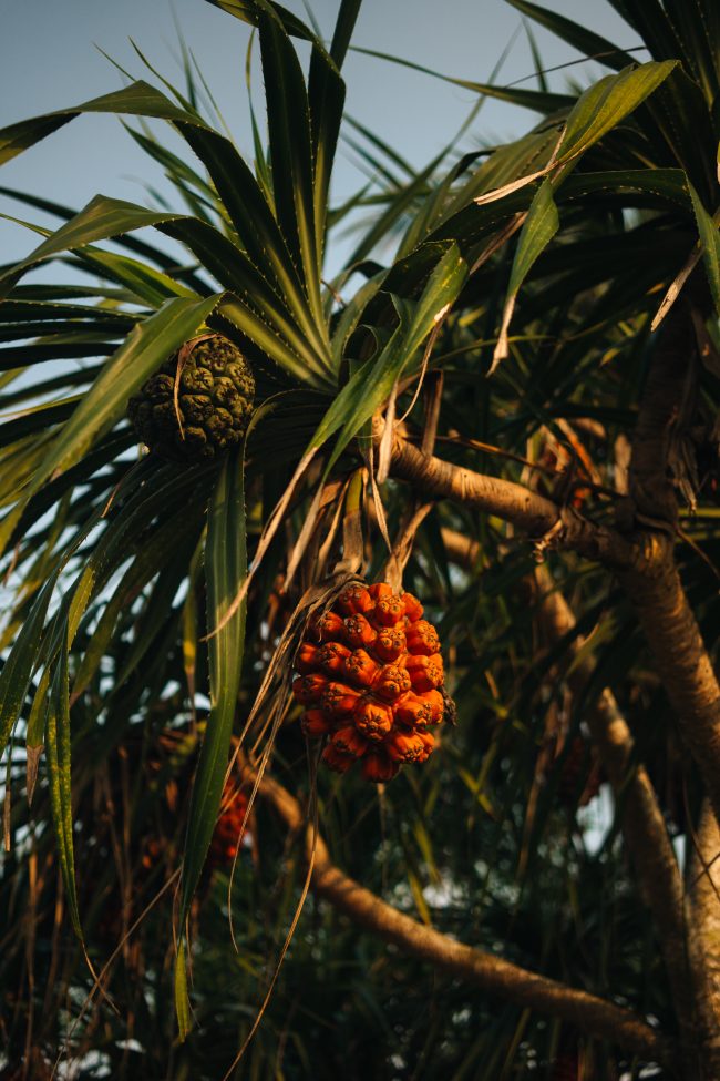 ApperSudio_pol_tarres_bikepacking_to_paradise_thailand_1052