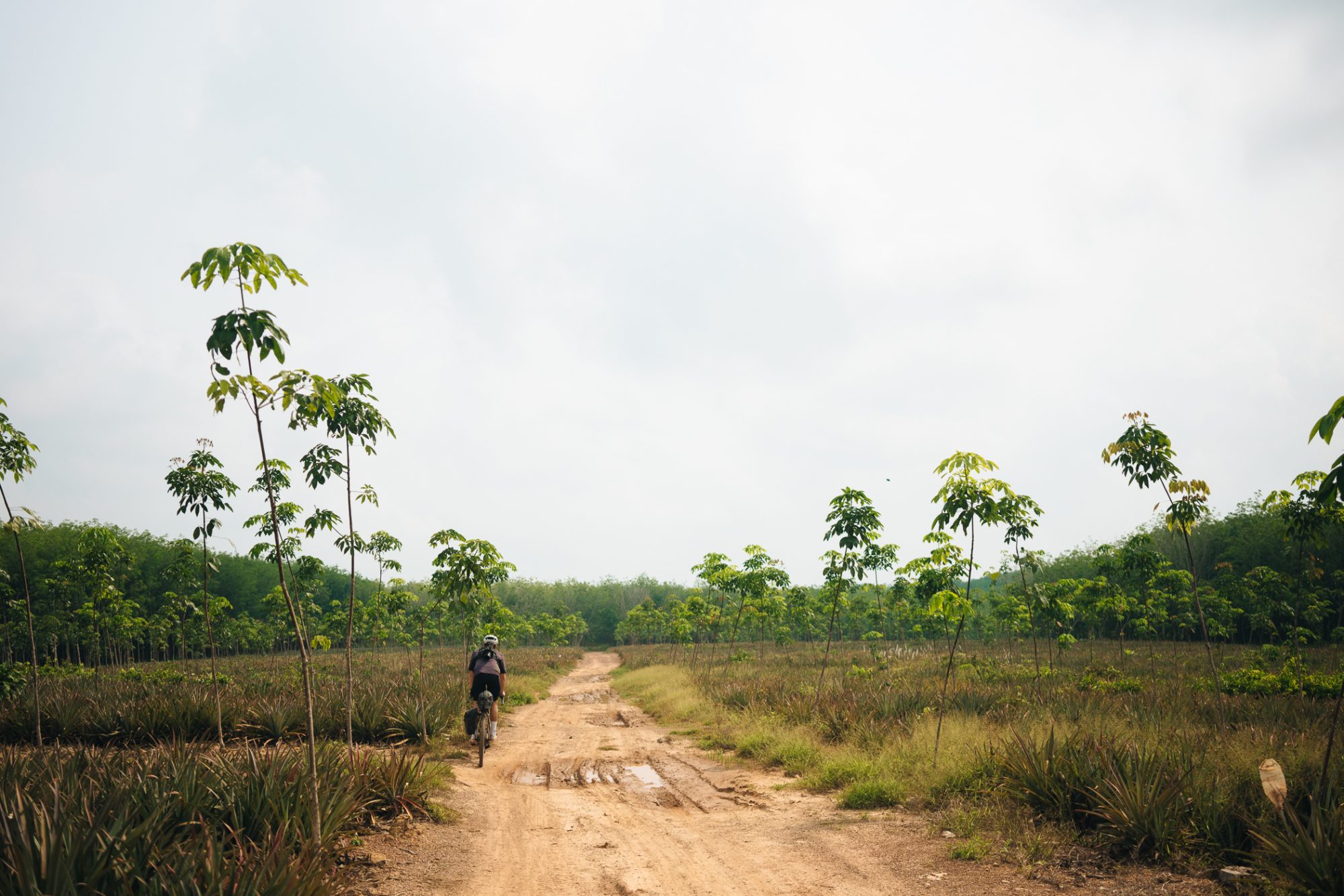 ApperSudio_pol_tarres_bikepacking_to_paradise_thailand_14