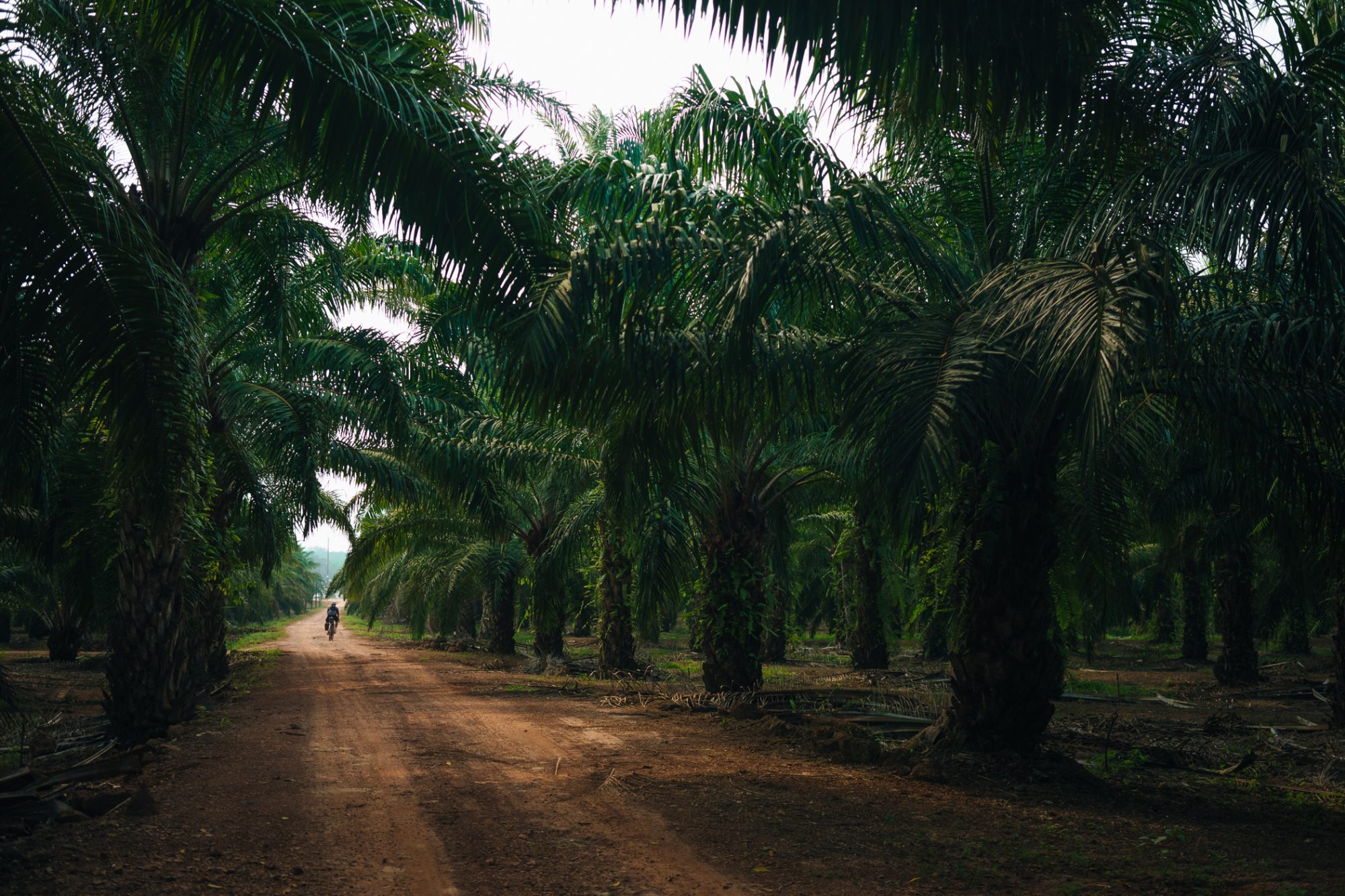 ApperSudio_pol_tarres_bikepacking_to_paradise_thailand_16