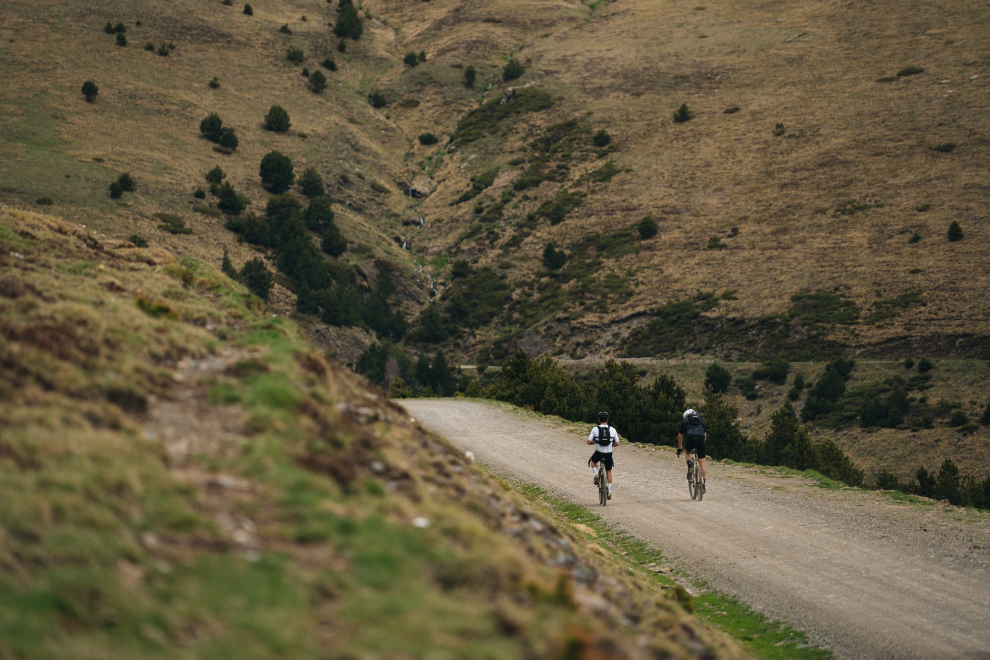 ApperStudio_Pol_Tarres_Traka560_2025_50