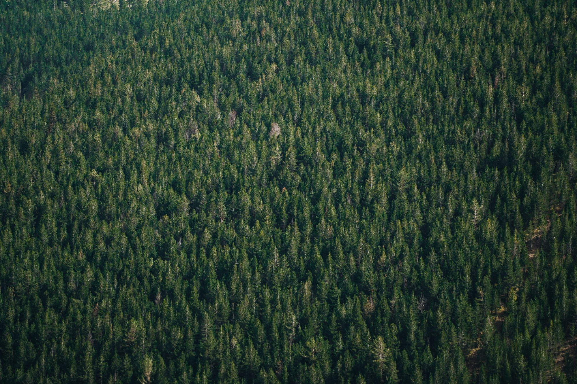 ApperStudio_Pol_Tarres_Traka560_2025_53