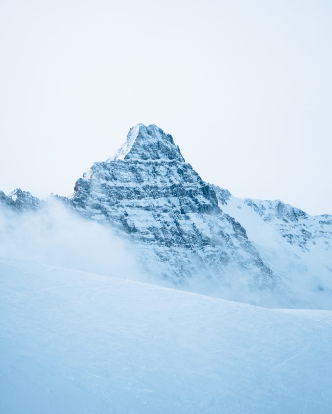 ApperStudio_Pol_tarres_blog_it_has_become_a_tradition_28