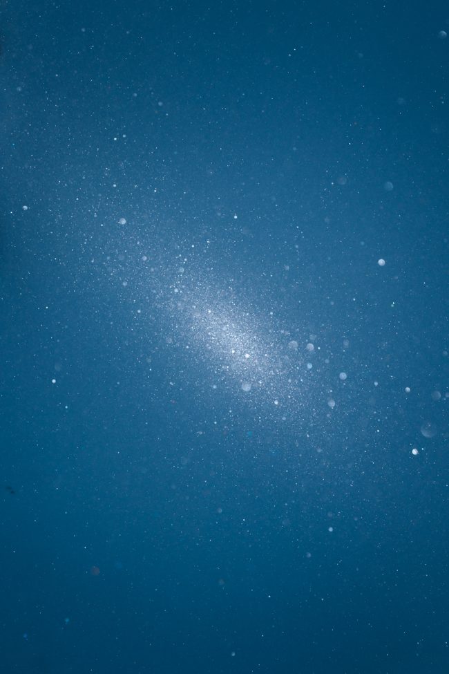 ApperStudio_Pol_tarres_blog_it_has_become_a_tradition_7